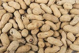 Groundnuts