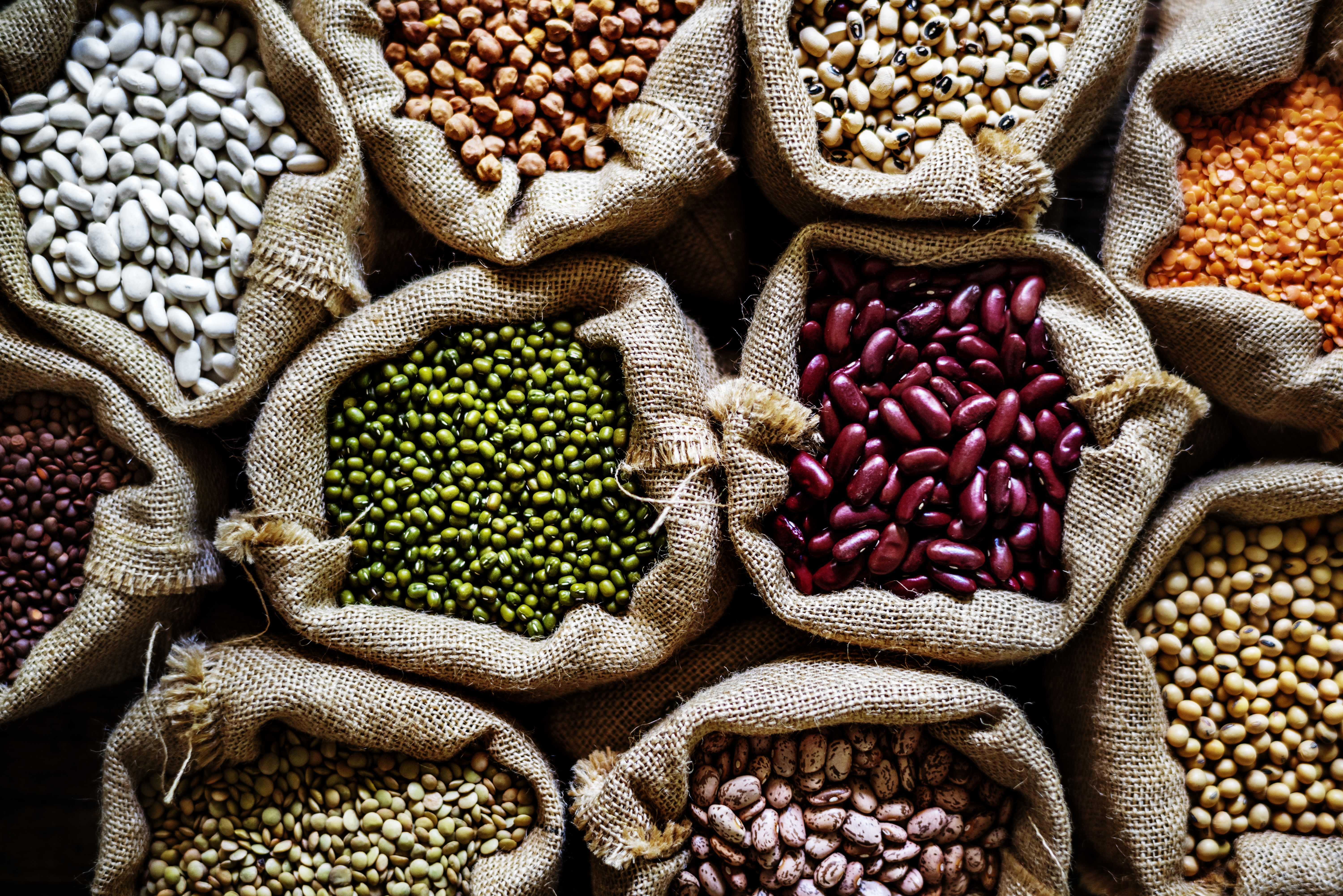 Beans